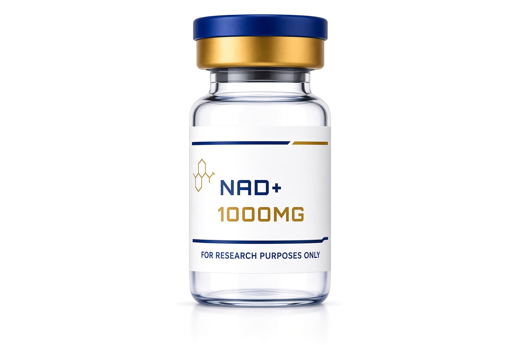 NJ1000